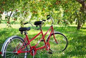 Being in Tandem as a Couple